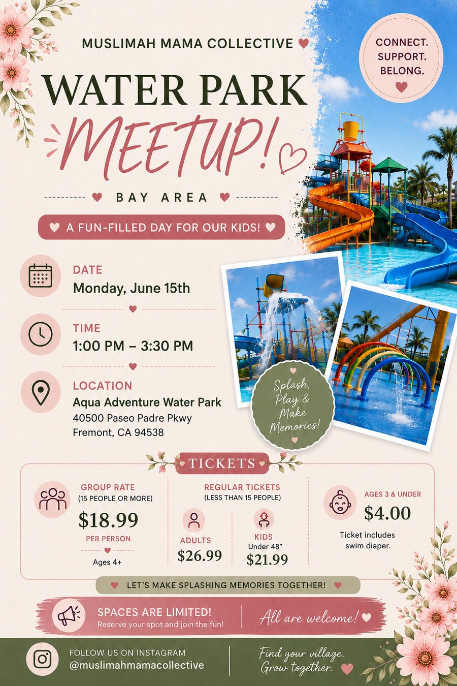 Water Park Meetup flyer — Monday, June 15th at Aqua Adventure Water Park, Fremont, CA